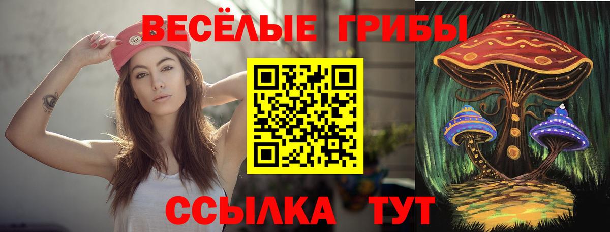 Галлюциногенные грибы Psilocybine cubensis Дзержинский