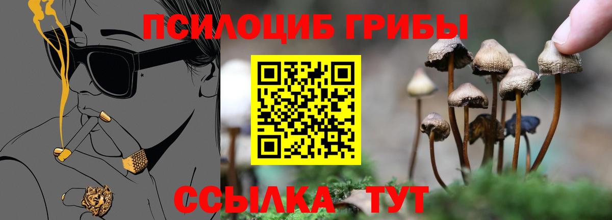 Галлюциногенные грибы MAGIC MUSHROOMS  Псилоцибиновые грибы мицелий  Дзержинский  Вход с VPN 